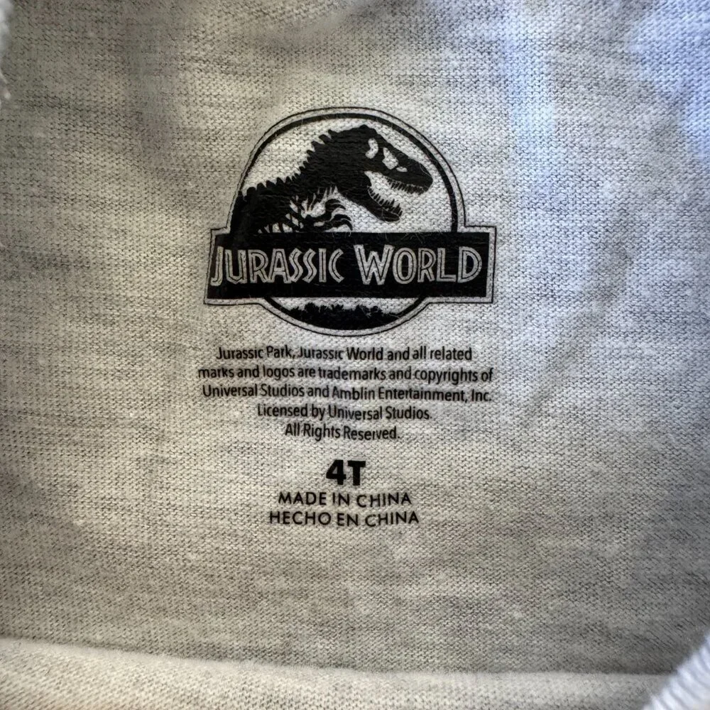 Jurassic World T-Rex Dinosaur Graphic Tee 🦖 Kids 4T